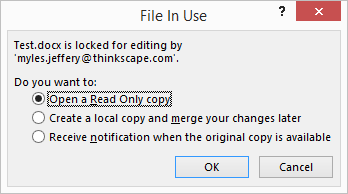 copied excel file locked for editing